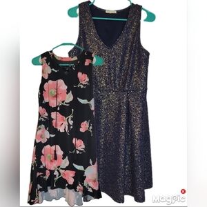 Lot Of 2 Girls Sleeveless Dresses Size Large (14) Copper Key And Laundry By...